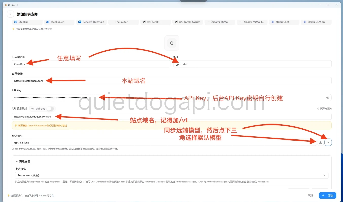 CCSwitch 添加自定义供应商的表单，包含名称、官网、API Key、API 请求地址、模型同步与默认模型选择