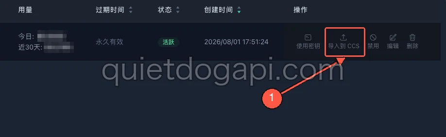QuietApi 密钥列表的「操作」列,方框与箭头指向「导入到 CCS」按钮